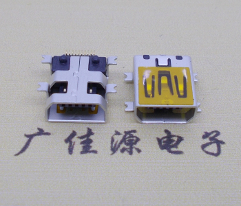 大岭山镇迷你USB插座,MiNiUSB母座,10P/全贴片带固定柱母头