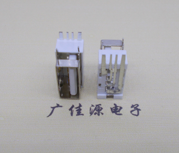 大岭山镇USB侧立式短体10.0尺寸 侧插加宽脚5A大电流插座